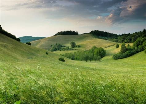 Print Landscape に対する画像結果