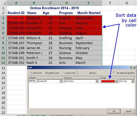 Image result for Sort Excel Sheet by Highlight Color