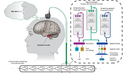 Toradh íomhá ar Real-Time Neural Decoding Icon
