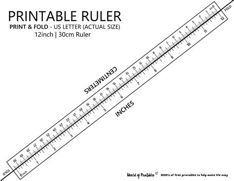 Afbeeldingsresultaten voor Inches and Cm Ruler Next to Each Other