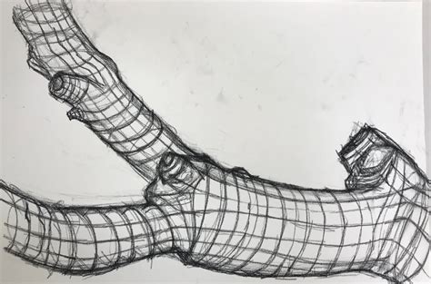 Image result for Cross Contour Drawing Lesson