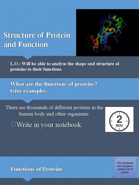 Image result for Protein Structure and Function