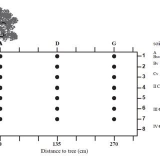Toradh íomhá ar Transect Method Soil Sampling