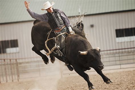 Afbeeldingsresultaten voor Cowboy Bull