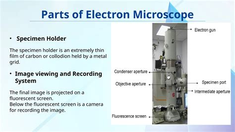 electron microscopy, types, Scanning electron microscope and ...