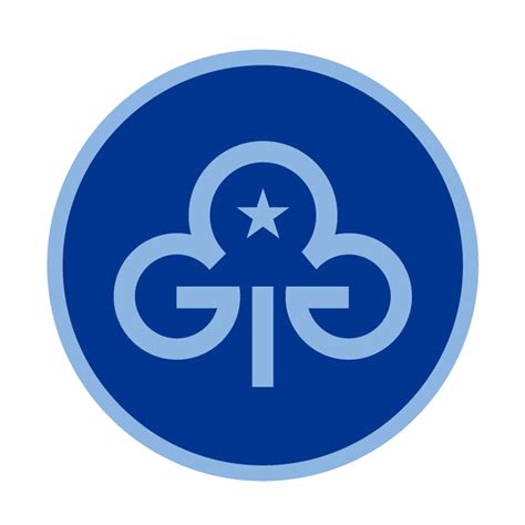 Image result for Badge for Guides