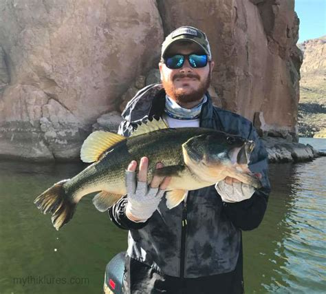 Image result for How to Rig a Drop Shot Bait