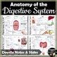 Image result for Science From Scratch the Digestive System Answer Key