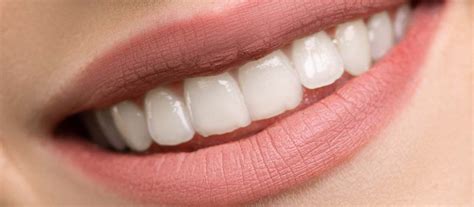 Image result for Teeth Mold Diagram