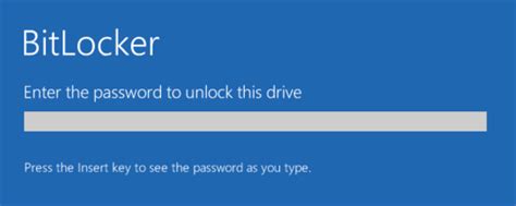 Image result for BitLocker Bios Boot Screen