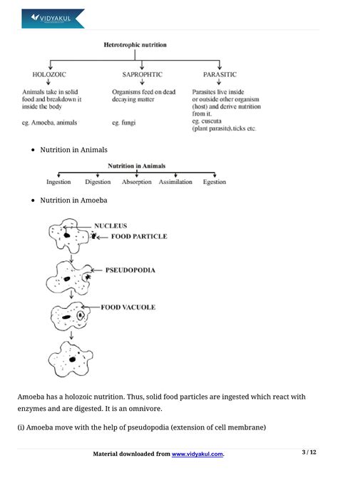Class 10 Science Life Process Working of Heart Note Sheet に対する画像結果