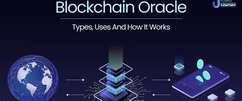 Image result for Python LTS Versions