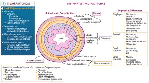 GI Sheet Cross Section View に対する画像結果