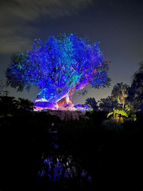 Image result for Avatar Tree of Life Game