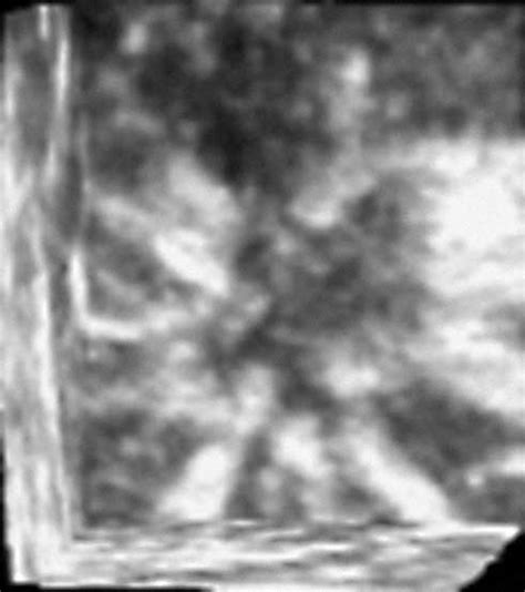 Python Epos に対する画像結果