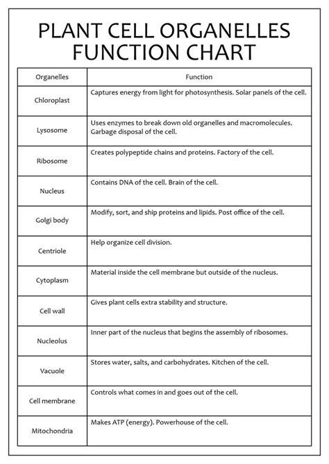 Cell Organelle Functions Chart ପାଇଁ ପ୍ରତିଛବି ଫଳାଫଳ