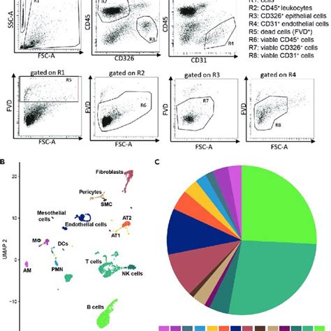 Image result for Cell Viability Assay Flow Cytometry
