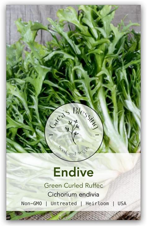 Image result for Curly Endive Lettuce