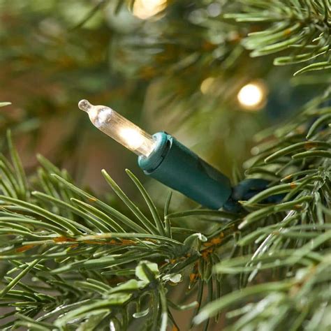 Image result for Potted Christmas Tree 4Ft Tall