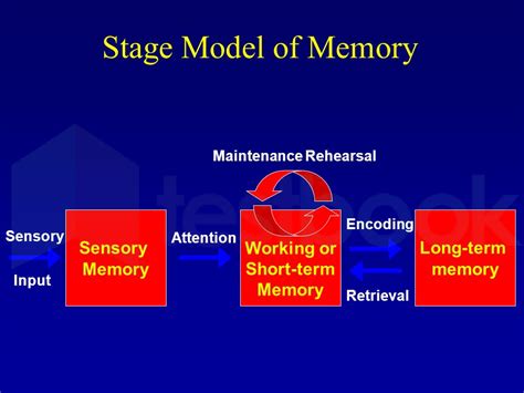 Afbeeldingsresultaten voor Information Processing Computer Model Cognitive Psychology