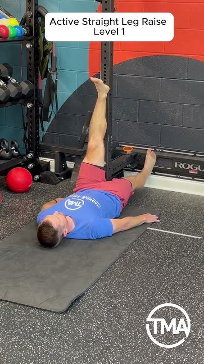 Image result for ASLR Workout