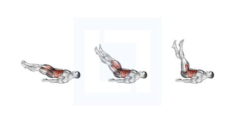 Reverse Crunch vs Leg Raises Exercise కోసం చిత్ర ఫలితం