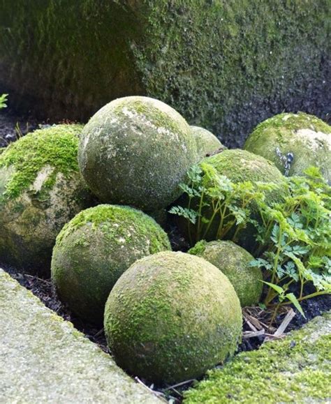 42 Lovely Ideas To Use Moss In Your Garden - DigsDigs