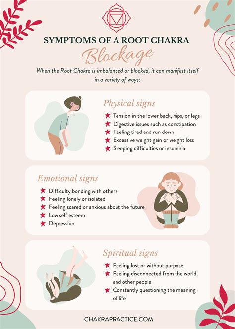 Image result for Root Chakra System