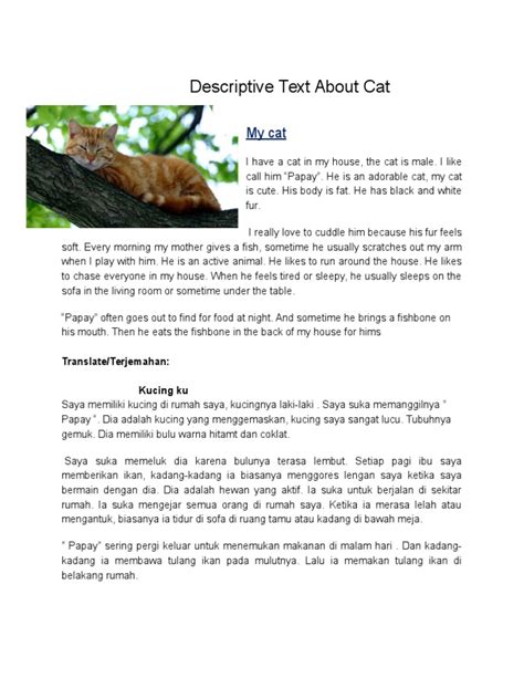 Image result for Contoh Descriptive Text About Cat