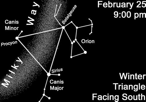 Triangle Worksheets に対する画像結果