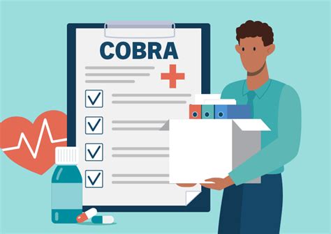 Cobra Explained に対する画像結果