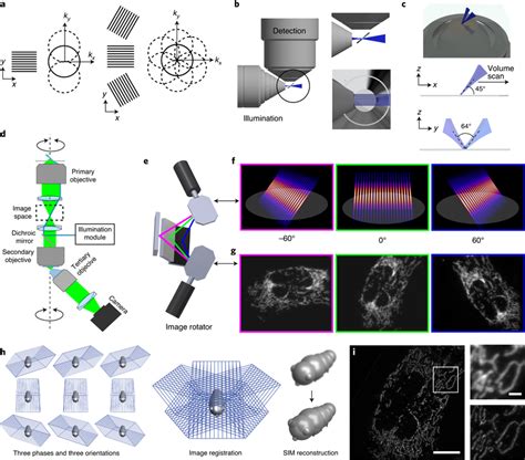 Image result for Geometric Shapes Light Microscopy