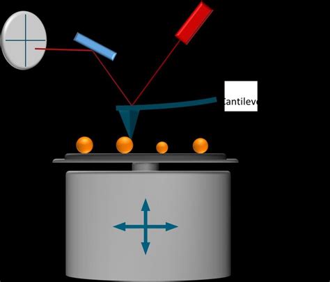 Image result for Scanning Probe Microscope Diagram
