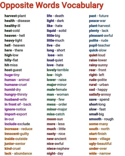 Image result for Verb Examples Words