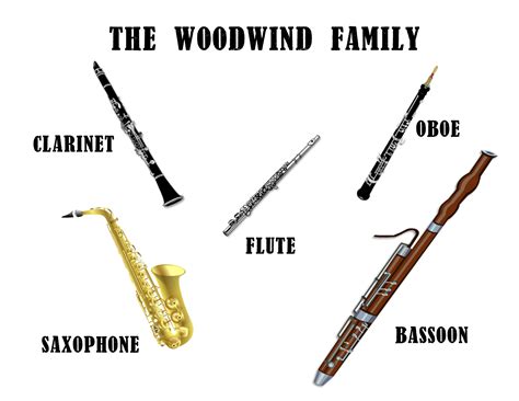 Image result for Woodwind Instruments Drawing
