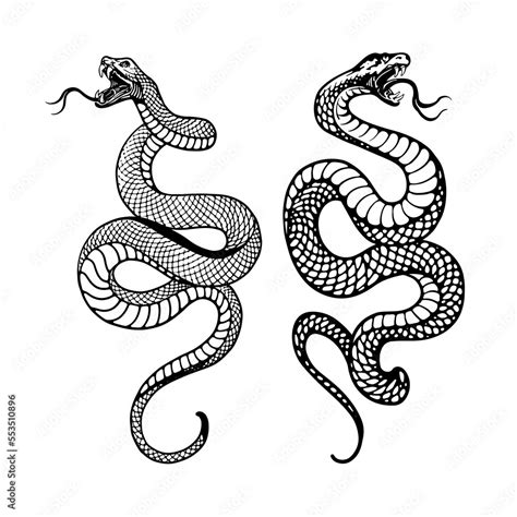 Toradh íomhá ar Snake Illustration Black and White