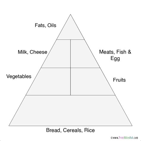 Image result for Design Your Own Food Pyramid Worksheet