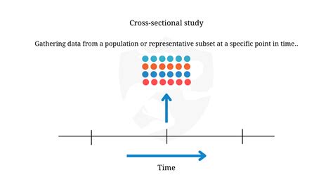 Cross-Sectional Study Animation に対する画像結果