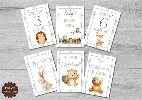 Afbeeldingsresultaten voor Baby Milestone Cards