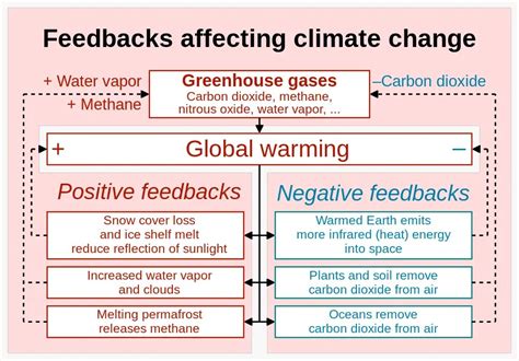Image result for Positive vs Negative Feedback Loop