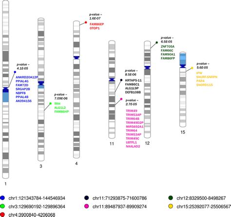 Image result for Classification of Copy Number Variation