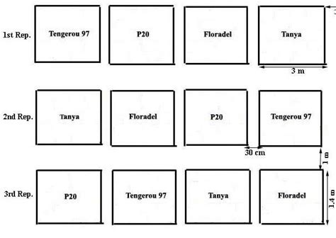 Image result for Bar Chart Showing Randomized Complete Block Design