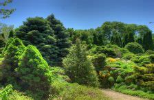 Toradh íomhá ar Espoma Organic Perlite