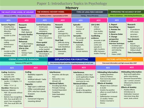 Image result for Short-Term Memory Concept Map