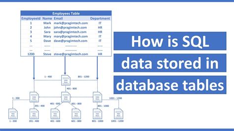 Image result for Nested Tree Structure in SQL Database