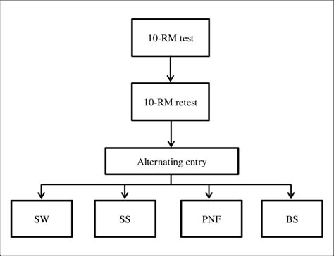 Image result for Experimental Study Design Examples