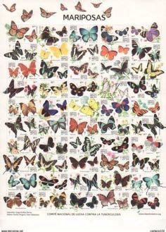 Toradh íomhá ar Butterfly Color Chart
