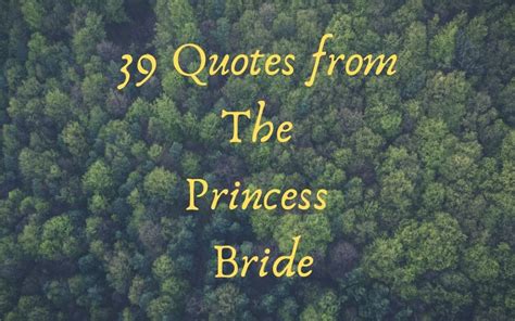 Image result for Princess Bride Quotes My Name Is