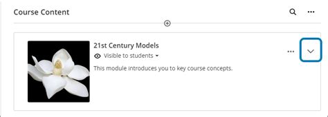Image result for What Is Learning Content in Module