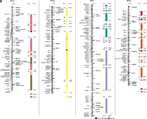 Image result for Simple Genetic Map